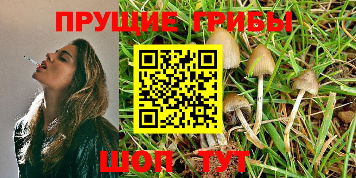 Псилоцибиновые грибы Psilocybine cubensis  Вход с VPN  магазин продажи   Магадан 